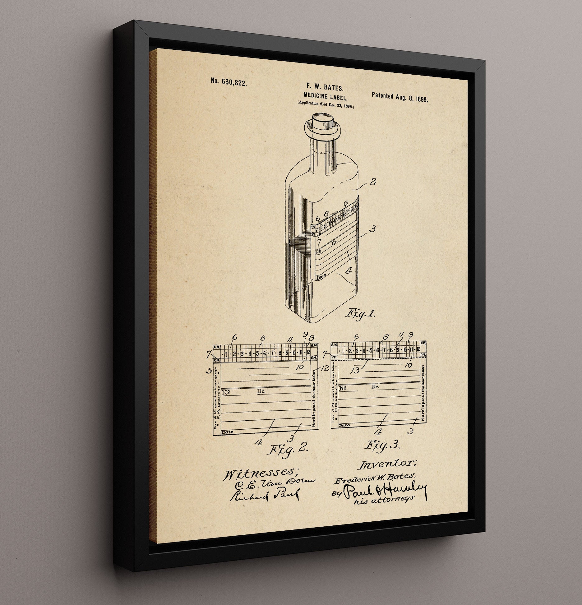 Patent Print - Medicine Label - F. W. Bates - 1899 - Patent 630822 Patent Wall Art