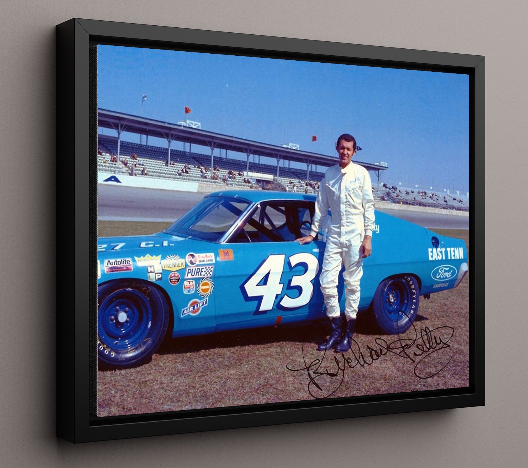Richard Petty - STP No 43 Pontiac Racing Wall Art 16x20 Framed Canvas wall art print – Racing Wall Art decor