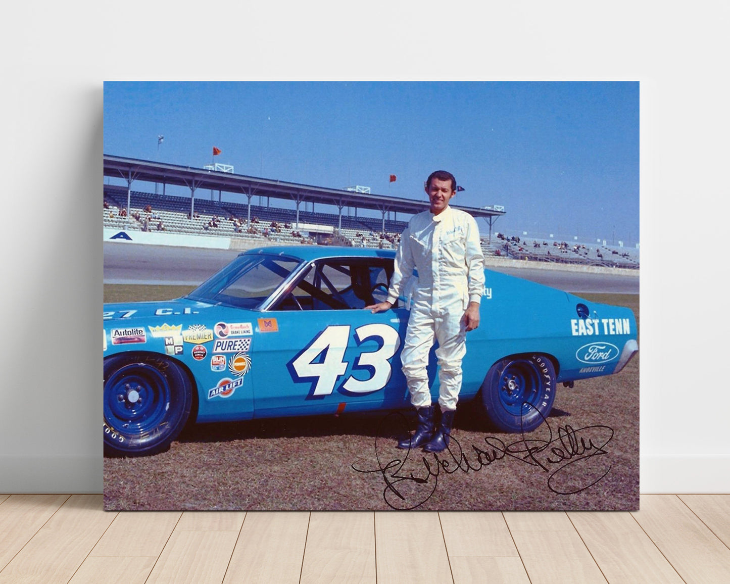 Richard Petty - STP No. 43 Pontiac - Gallery Frame racing wall art