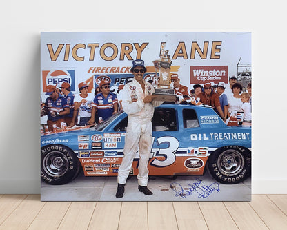 Richard Petty - Victory Lane - Gallery Frame racing wall art