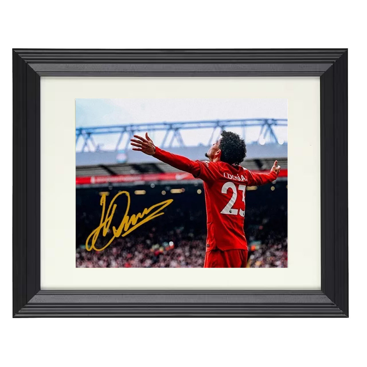 Luis Díaz – Liverpool Goal Celebration at Anfield 8x10 matted black framed soccer wall art