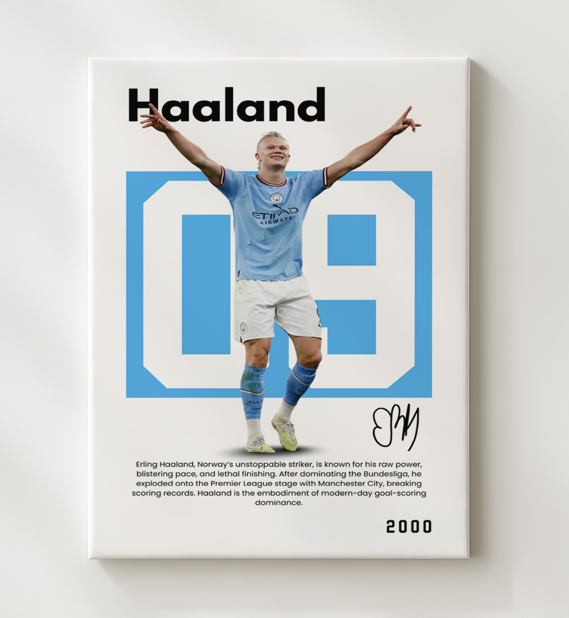 Soccer Legends - Haaland - No. 05 Player Bio Poster 16x20 16x20 Canvas Wall Art wall art print – vintage decor