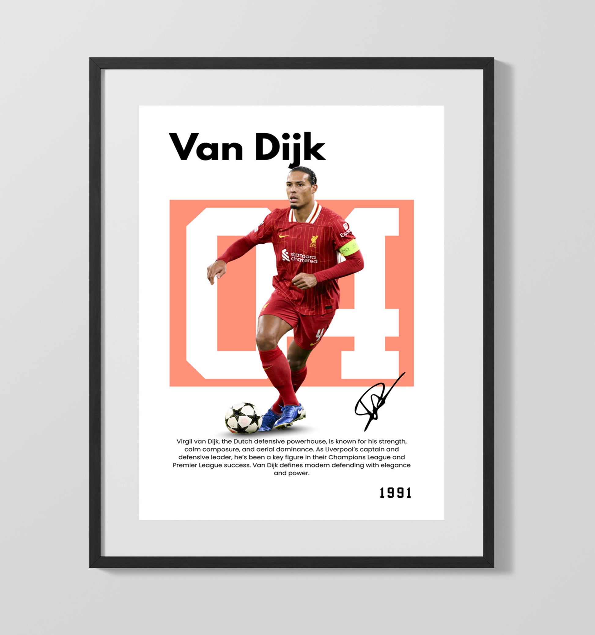Soccer Legends - Van Dijk - No. 30 Player Bio Poster 16x20 16x20 Gallery Framed Artworkd Artwork wall art print – vintage decor