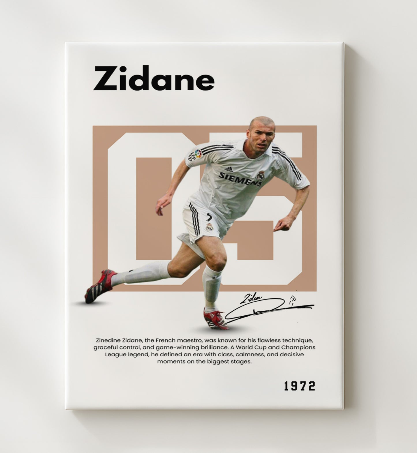 Soccer Legends - Zidane - No. 07 Player Bio Poster 16x20 16x20 Canvas Wall Art wall art print – vintage decor