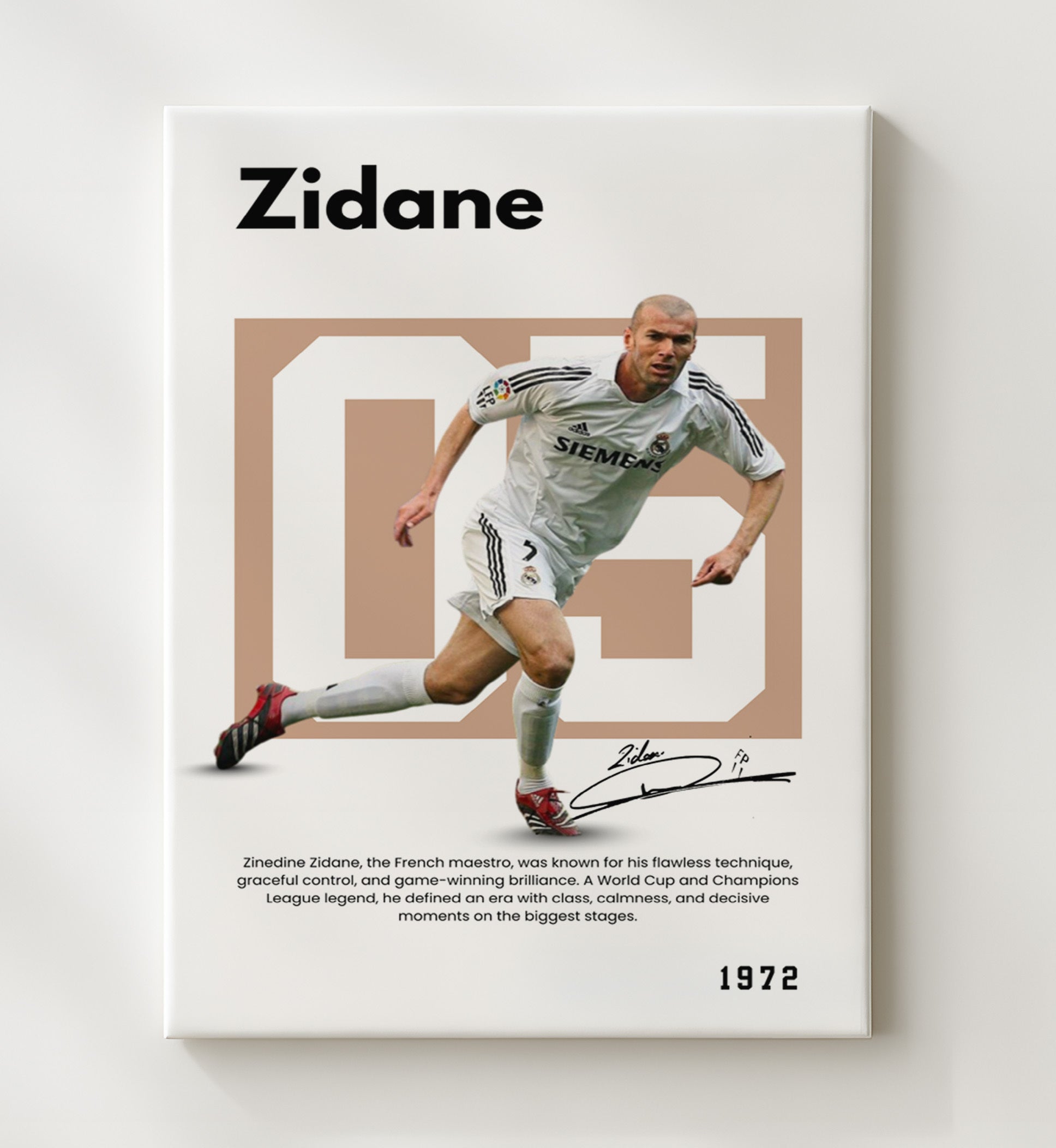 Soccer Legends - Zidane - No. 07 Player Bio Poster 16x20 16x20 Canvas Wall Art wall art print – vintage decor