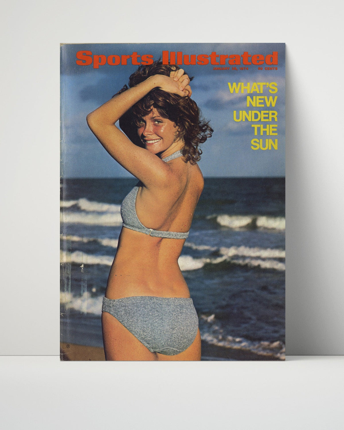 Atlantic Shoreline Model – What’s New Under the Sun 1974 SI unframed semi-gloss poster print