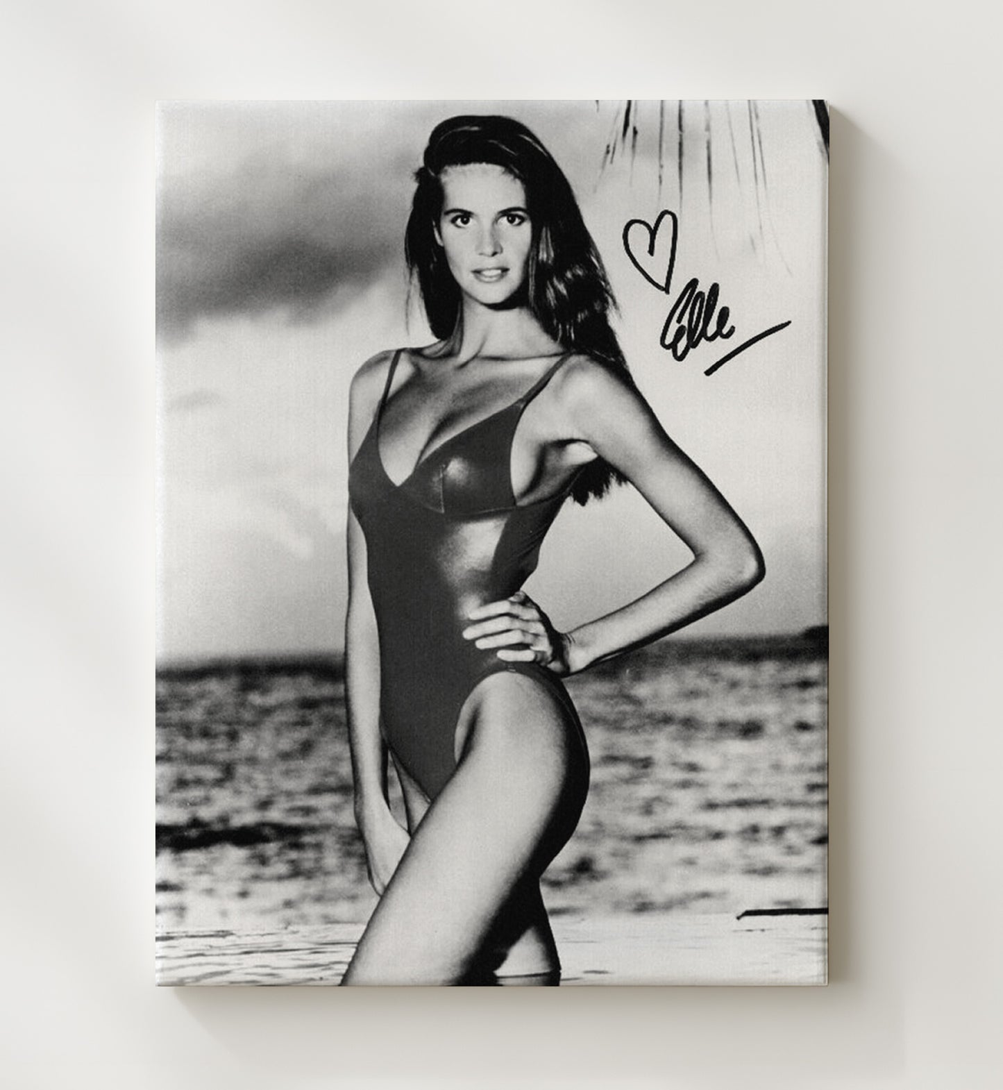 Elle Macpherson - Classic Black and White SI Swimsuit Model Portrait Signed.jpg Swimsuit Wall Art 20x24 Canvas wall art print – Swimsuit Wall Art decor