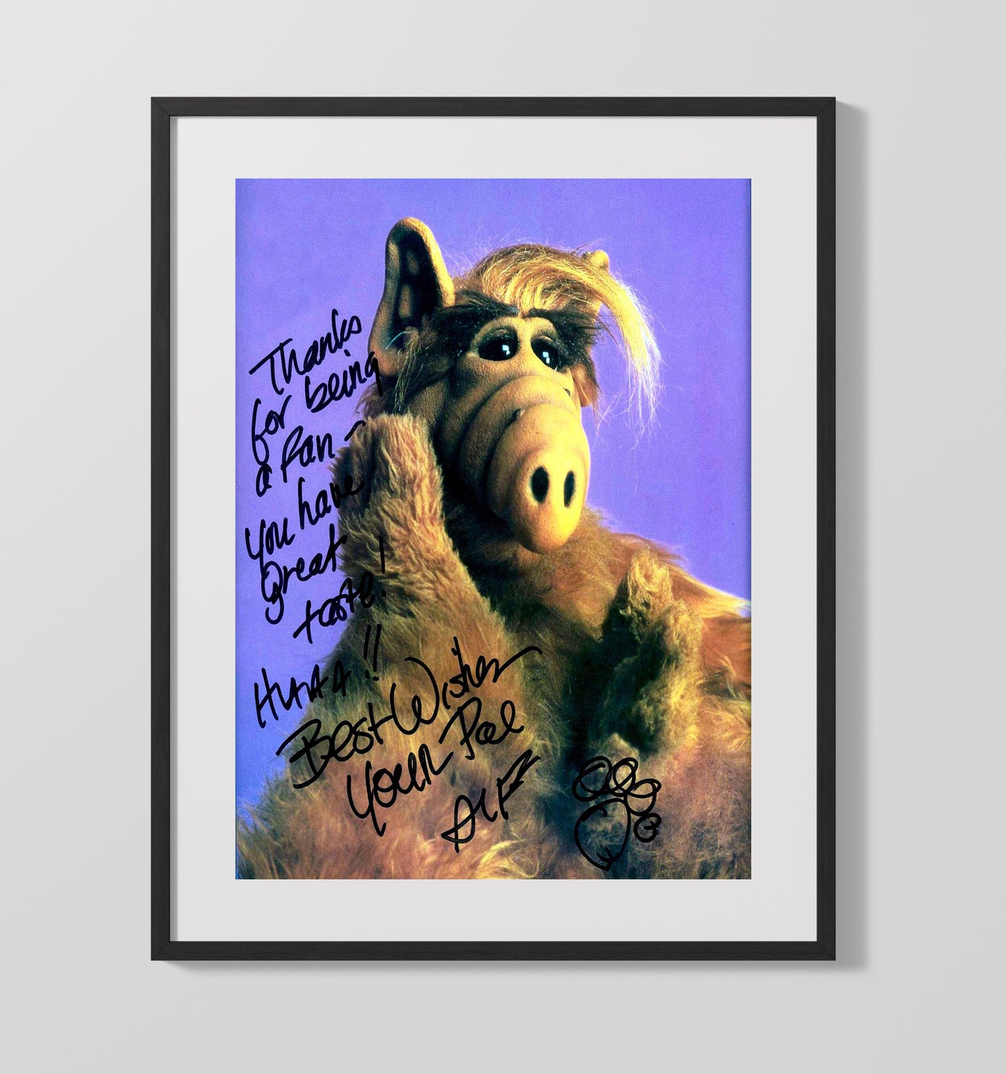 ALF - ALF Wisecracking Alien Visitor - Vintage Television Wall Art - 16x20 Gallery Frame wall art print - television decor