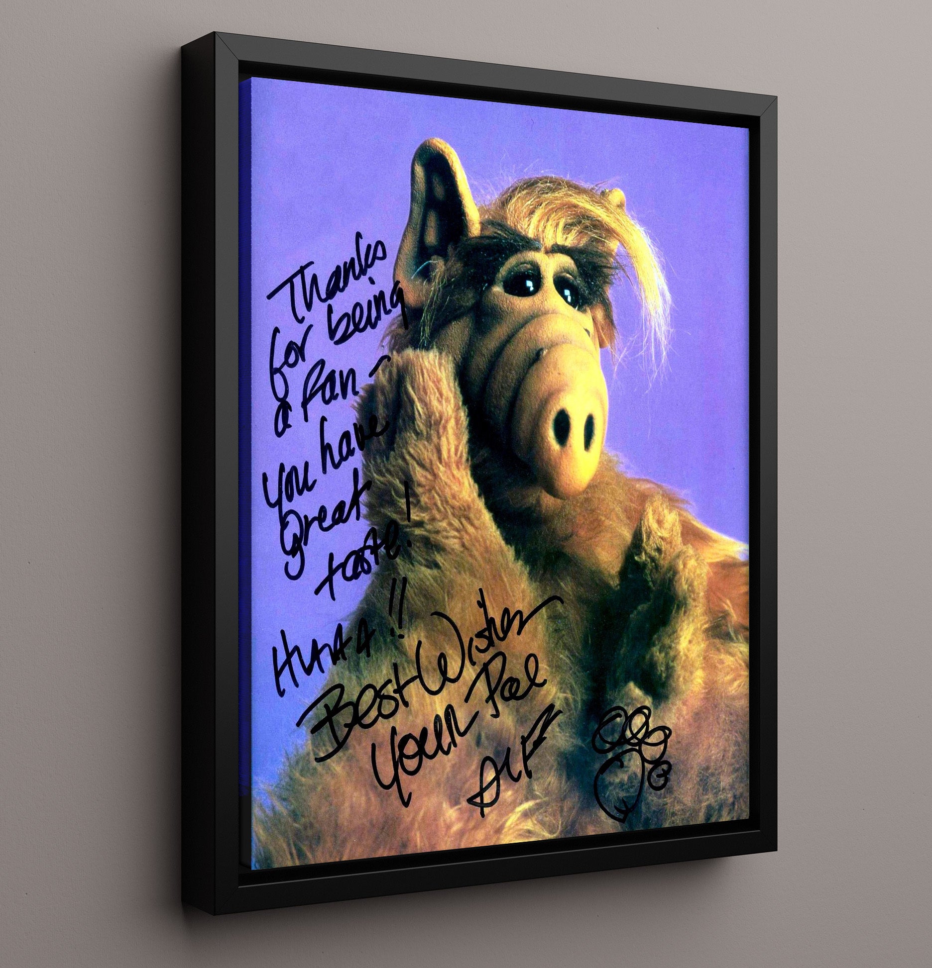 ALF - ALF Wisecracking Alien Visitor - Vintage Television Wall Art - 16x20 Framed Canvas wall art print - television decor