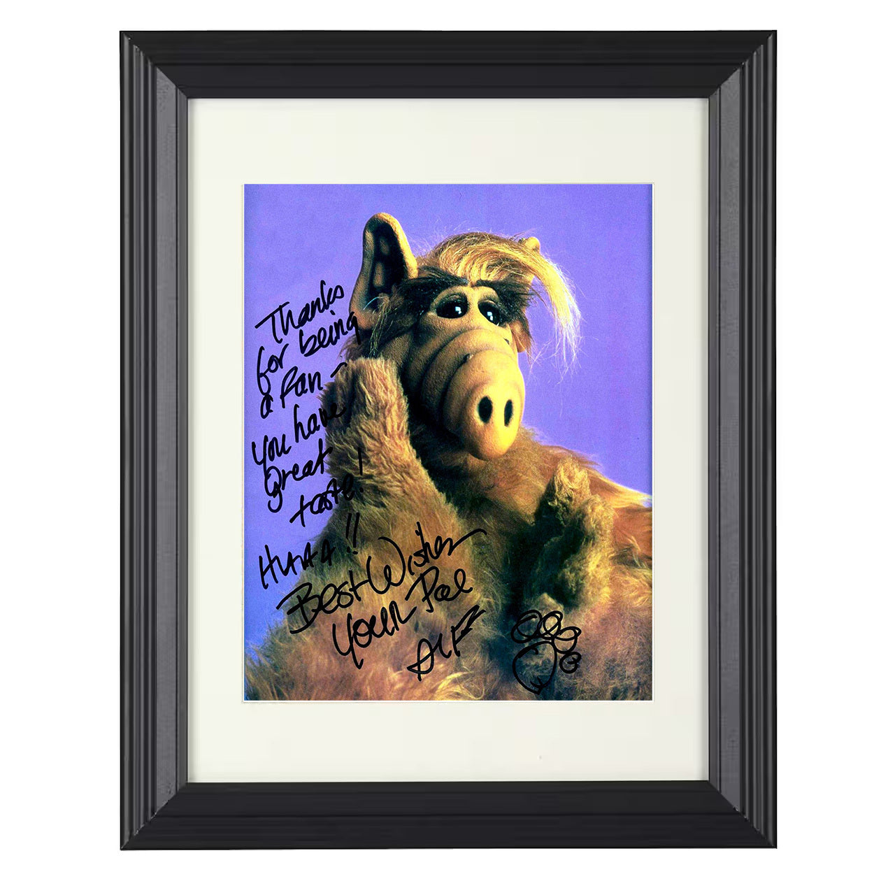 ALF – ALF Wisecracking Alien Visitor – 8x10 black beveled framed television wall art