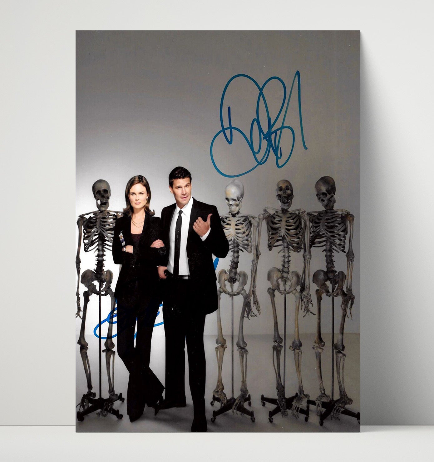 Bones - Emily Deschanel David Boreanaz Forensic Crime Duo - Vintage Television Wall Art - 16x20 Unframed Print wall art print - television decor