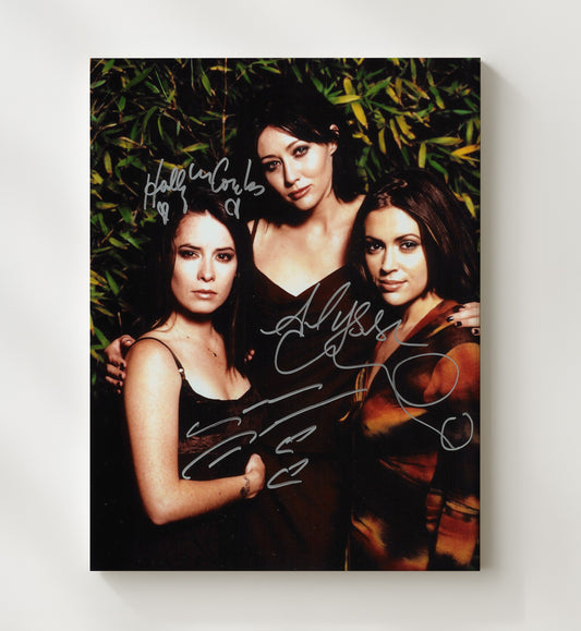 Charmed - Shannen Doherty Holly Marie Combs Alyssa Milano Halliwell Sisters Classic Trio - Canvas television wall art