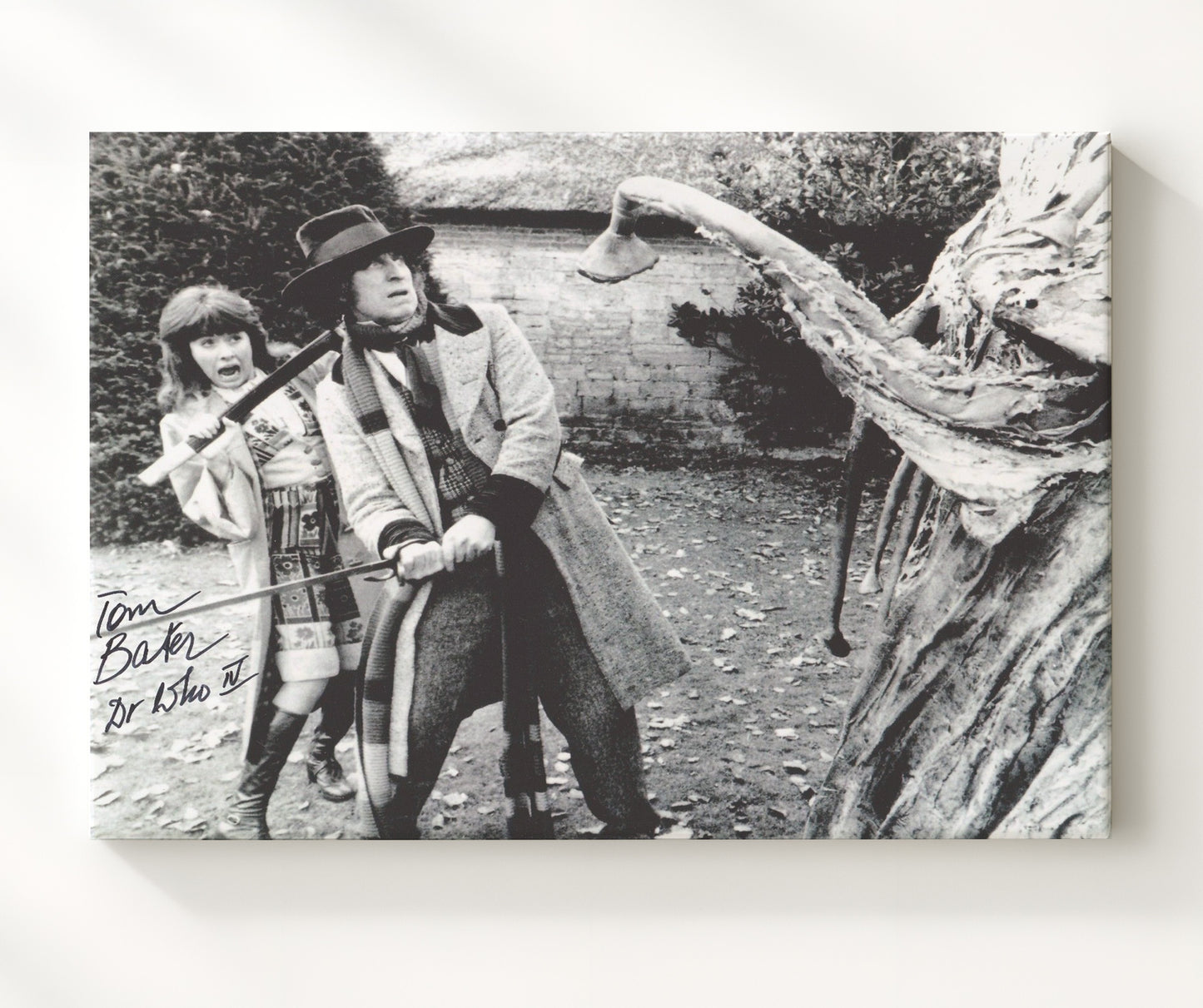 Doctor Who - Tom Baker (Fourth Doctor) Giant Plant Encounter Scene - Vintage Television Wall Art - 20x24 Canvas wall art print - television decor