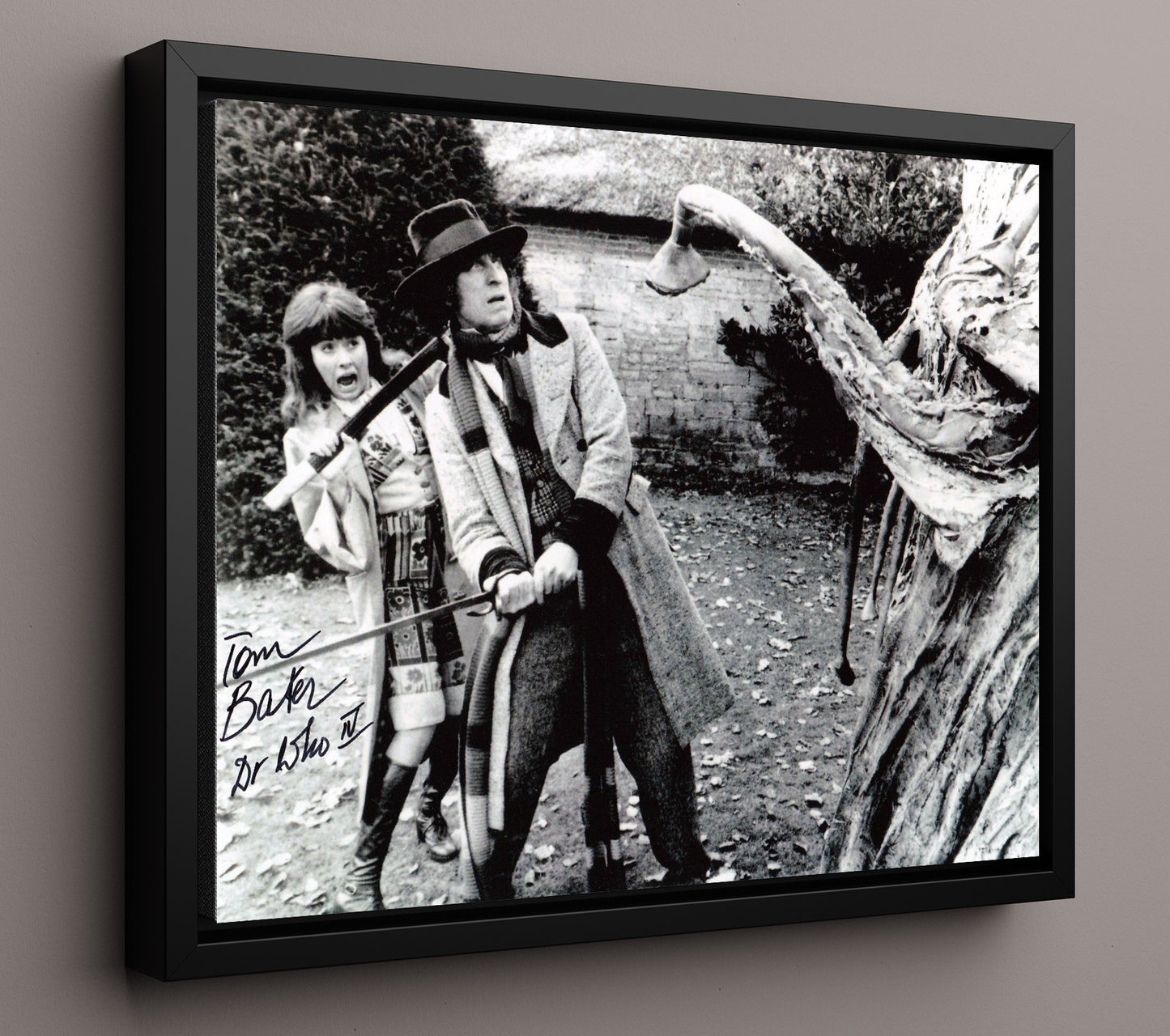 Doctor Who - Tom Baker (Fourth Doctor) Giant Plant Encounter Scene - Vintage Television Wall Art - 16x20 Framed Canvas wall art print - television decor