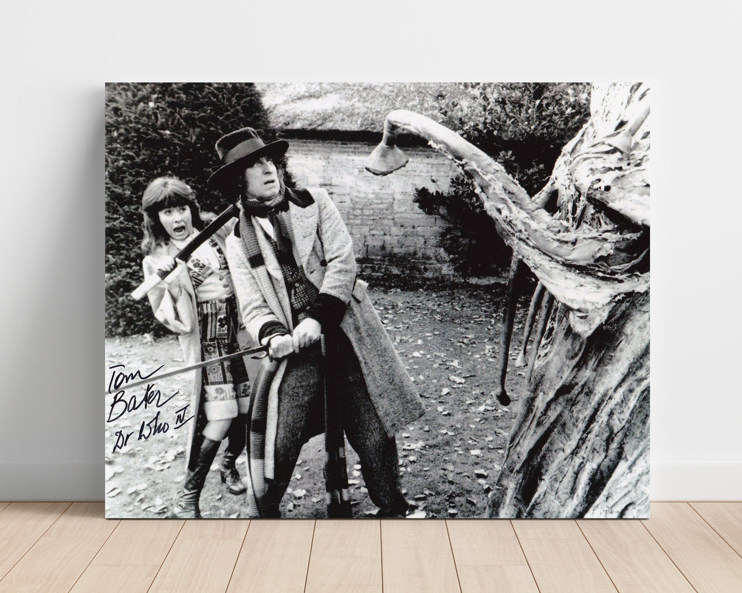 Doctor Who - Tom Baker (Fourth Doctor) Giant Plant Encounter Scene - Vintage Television Wall Art - 16x20 Unframed Print wall art print - television decor