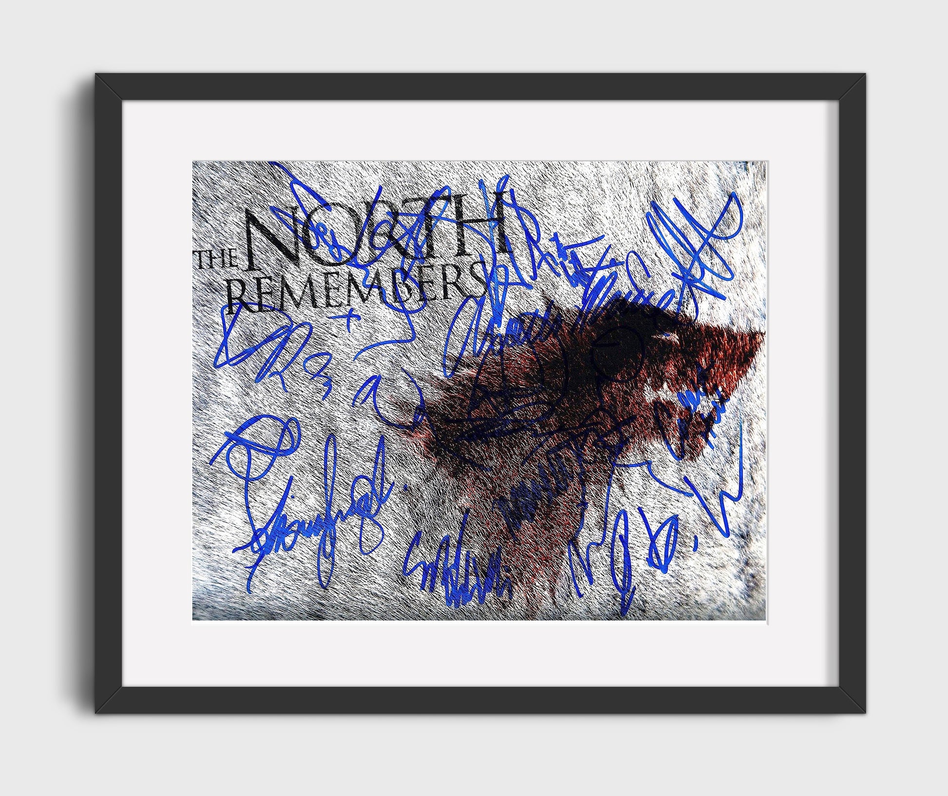 Game of Thrones - Emilia Clarke (Daenerys Targaryen) Ensemble Stark Direwolf Banner Scene - Vintage Television Wall Art - 16x20 Gallery Frame wall art print - television decor