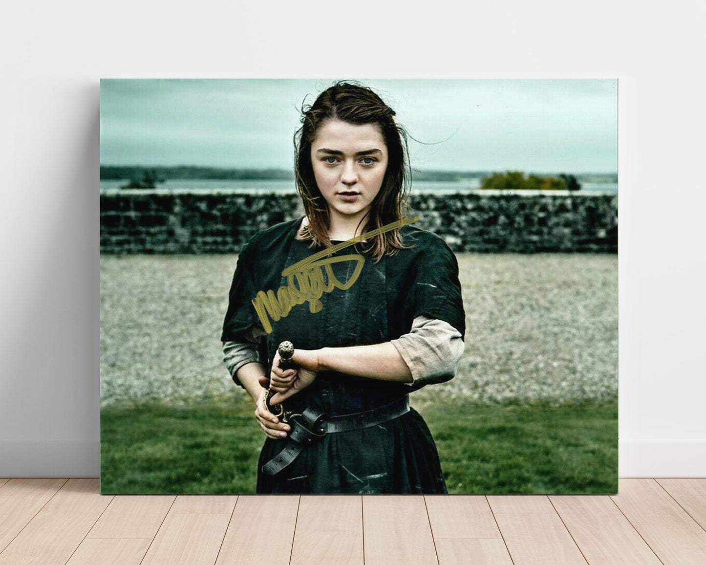 Game of Thrones - Maisie Williams (Arya Stark) Sword Training Pose - Vintage Television Wall Art - 16x20 Unframed Print wall art print - television decor