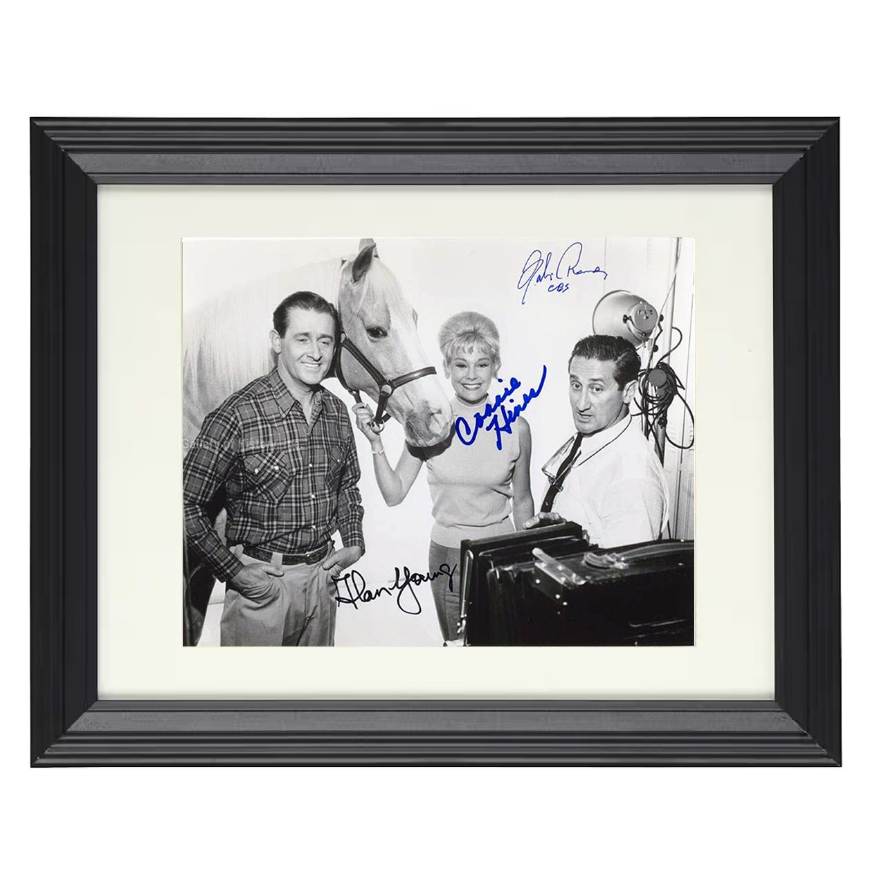 Mister Ed – Wilbur Post and Connie Hines Promotional Horse – 8x10 black beveled framed television wall art