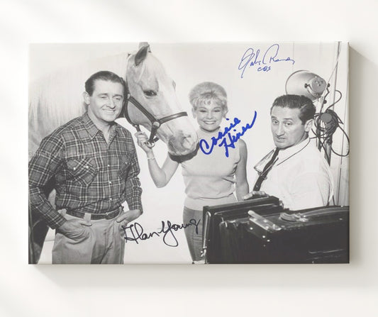 Mister Ed - Alan Young (Wilbur Post) and Connie Hines (Carol Post) Studio Horse Comedy Cast - Canvas television wall art