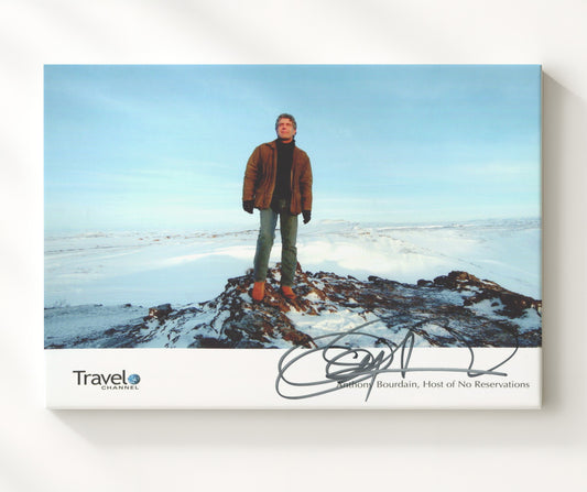 No Reservations - Anthony Bourdain (Host) Arctic Wilderness Scene - Canvas television wall art