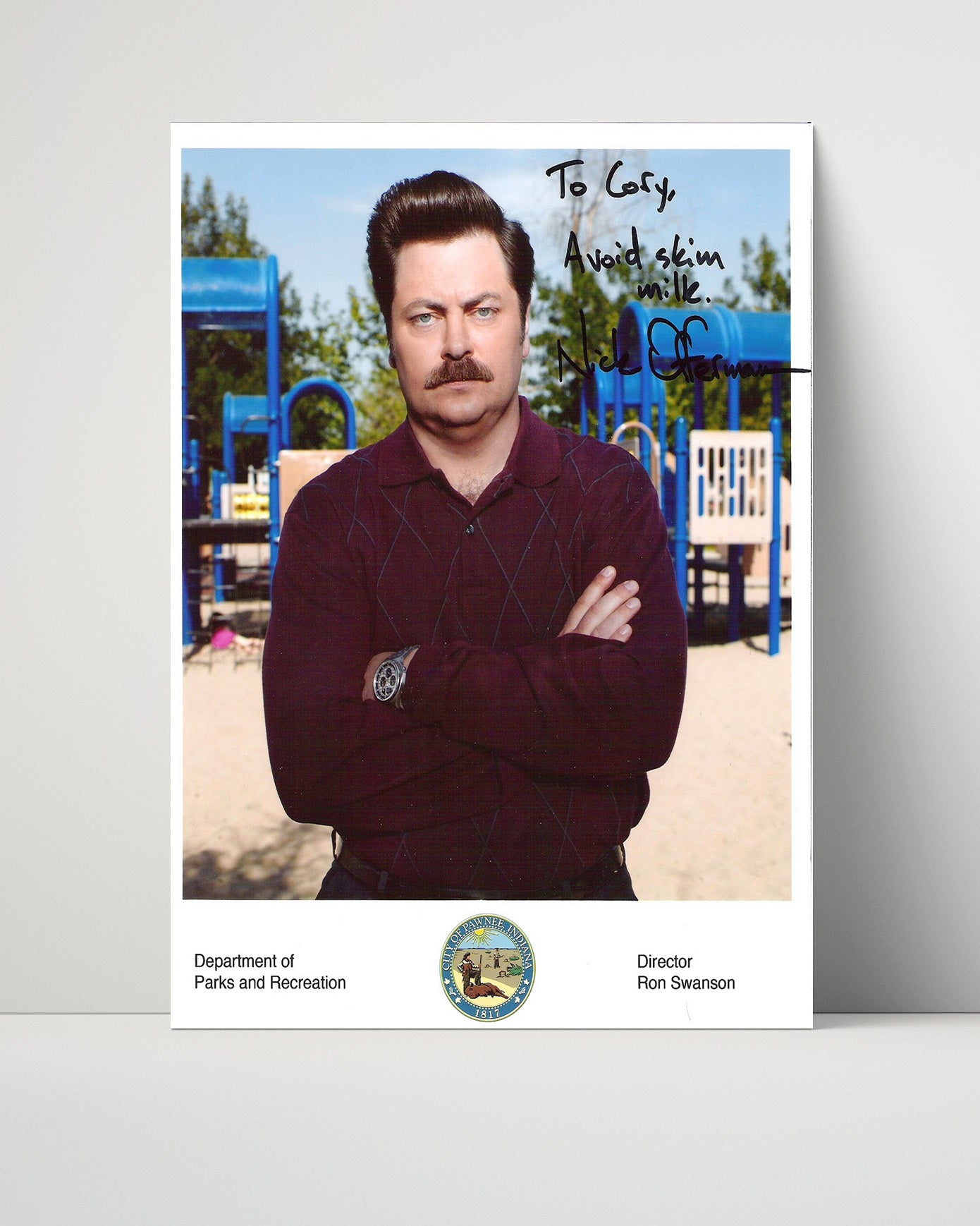 Parks and Recreation - Nick Offerman - Ron Swanson Playground Scene - Vintage Television Wall Art - 16x20 Unframed Print wall art print - television decor