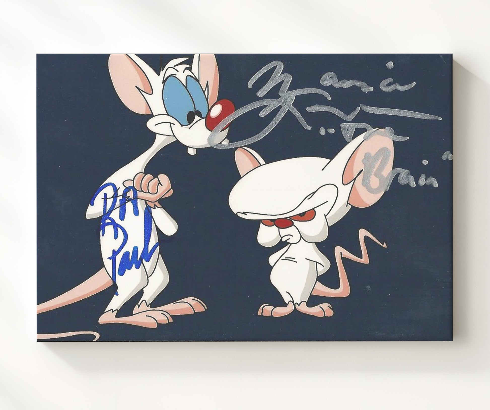 Pinky and the Brain - Rob Paulsen (Pinky) and Maurice LaMarche (Brain) Cartoon Duo - Vintage Television Wall Art - 20x24 Canvas wall art print - television decor