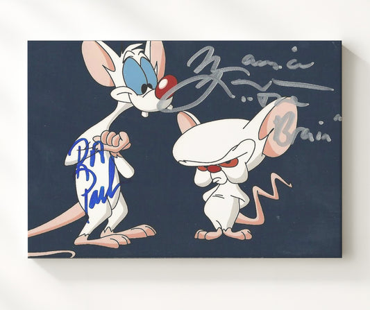 Pinky and the Brain - Rob Paulsen (Pinky) and Maurice LaMarche (Brain) Cartoon Duo - Canvas television wall art