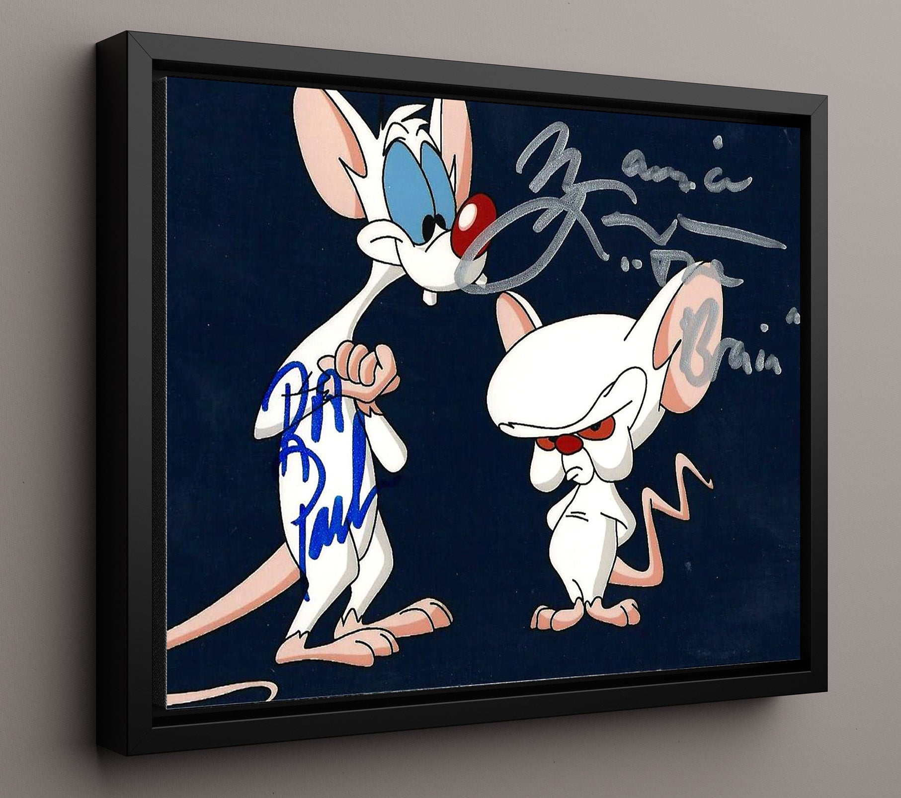 Pinky and the Brain - Rob Paulsen (Pinky) and Maurice LaMarche (Brain) Cartoon Duo - Vintage Television Wall Art - 16x20 Framed Canvas wall art print - television decor