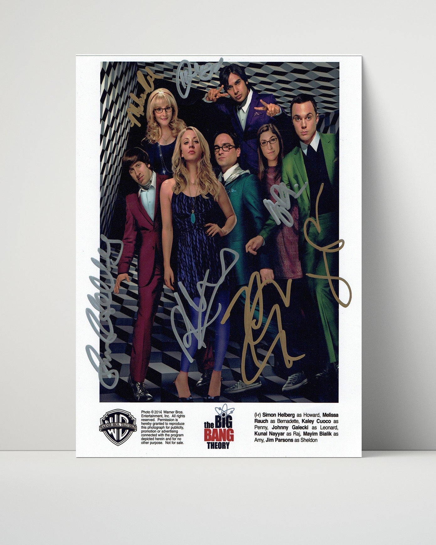 The Big Bang Theory - Ensemble Cast Quantum Comedy Icons - Vintage Television Wall Art - 16x20 Unframed Print wall art print - television decor