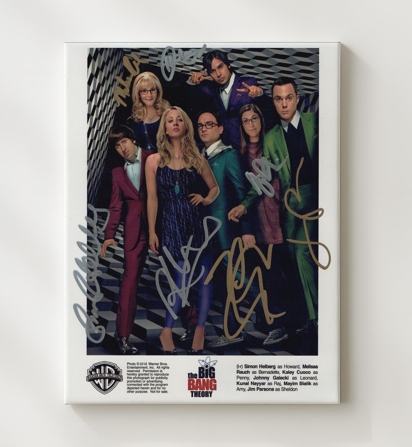 The Big Bang Theory - Ensemble Cast Quantum Comedy Icons - Vintage Television Wall Art - 20x24 Canvas wall art print - television decor