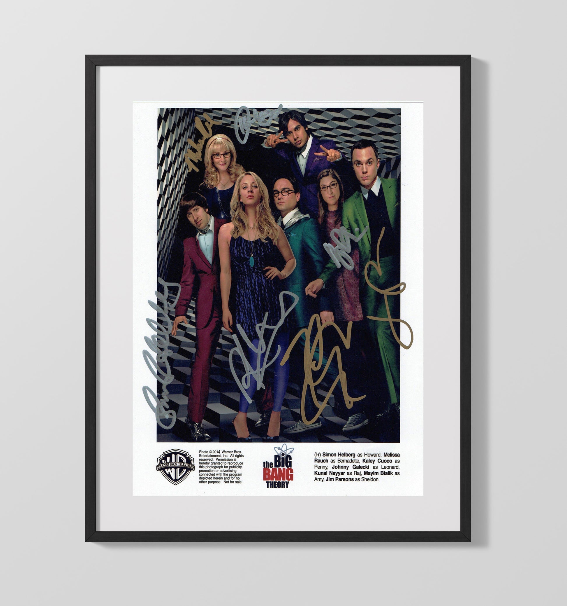 The Big Bang Theory - Ensemble Cast Quantum Comedy Icons - Vintage Television Wall Art - 16x20 Gallery Frame wall art print - television decor