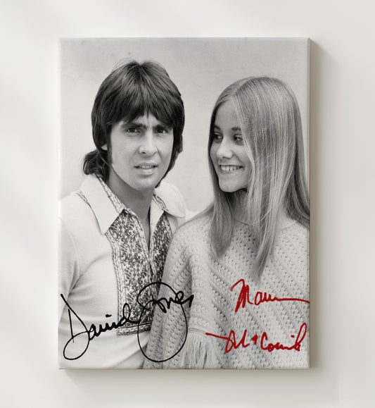 The Brady Bunch - Maureen McCormick and Davy Jones - Guest Star Music Episode Duo - Canvas television wall art