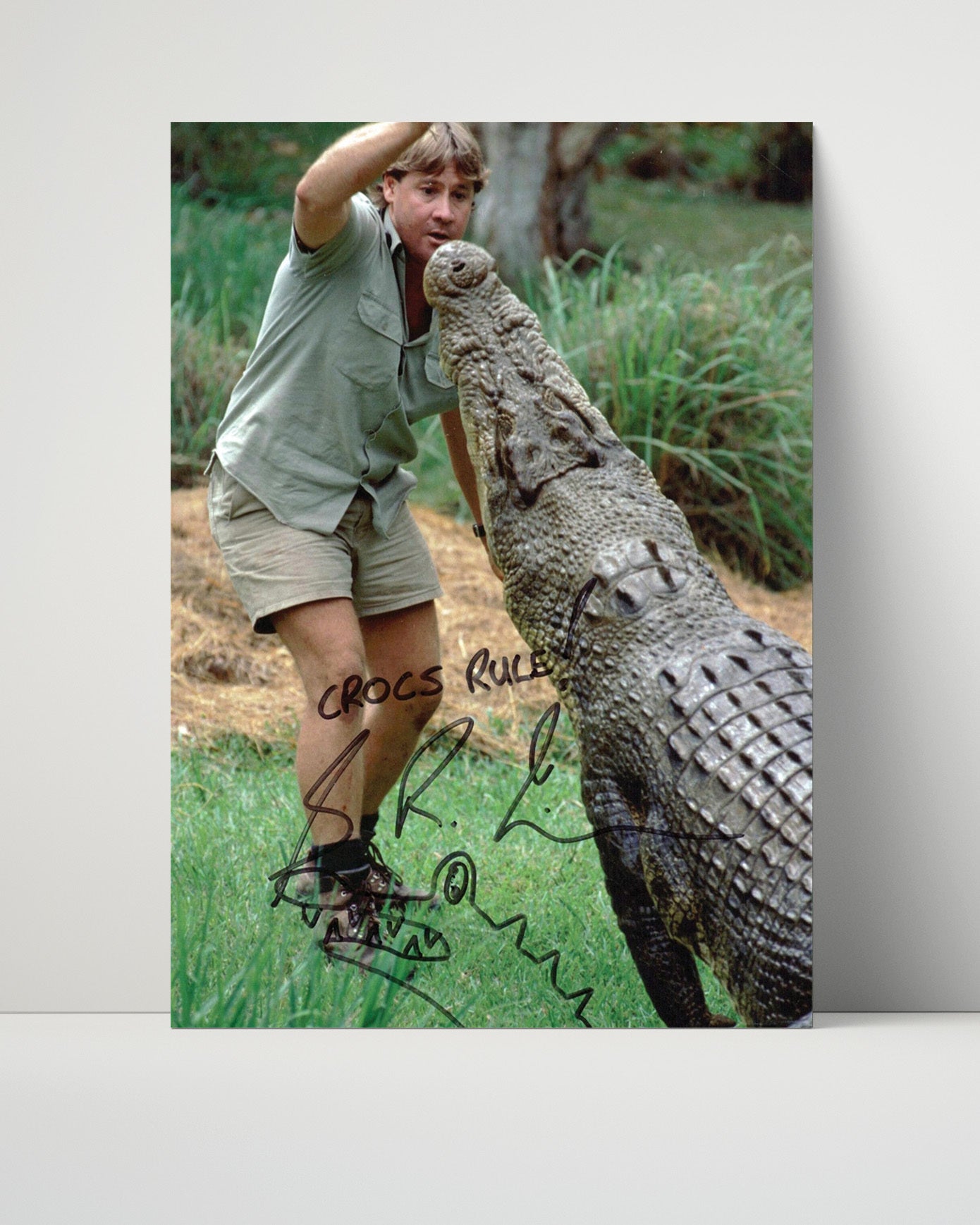 The Crocodile Hunter - Steve Irwin (Steve Irwin) Crocodile Encounter Wildlife Scene - Vintage Television Wall Art - 16x20 Unframed Print wall art print - television decor