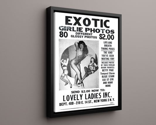 Girlie Photos - Glamour for two bucks - 16x20 Framed Canvas