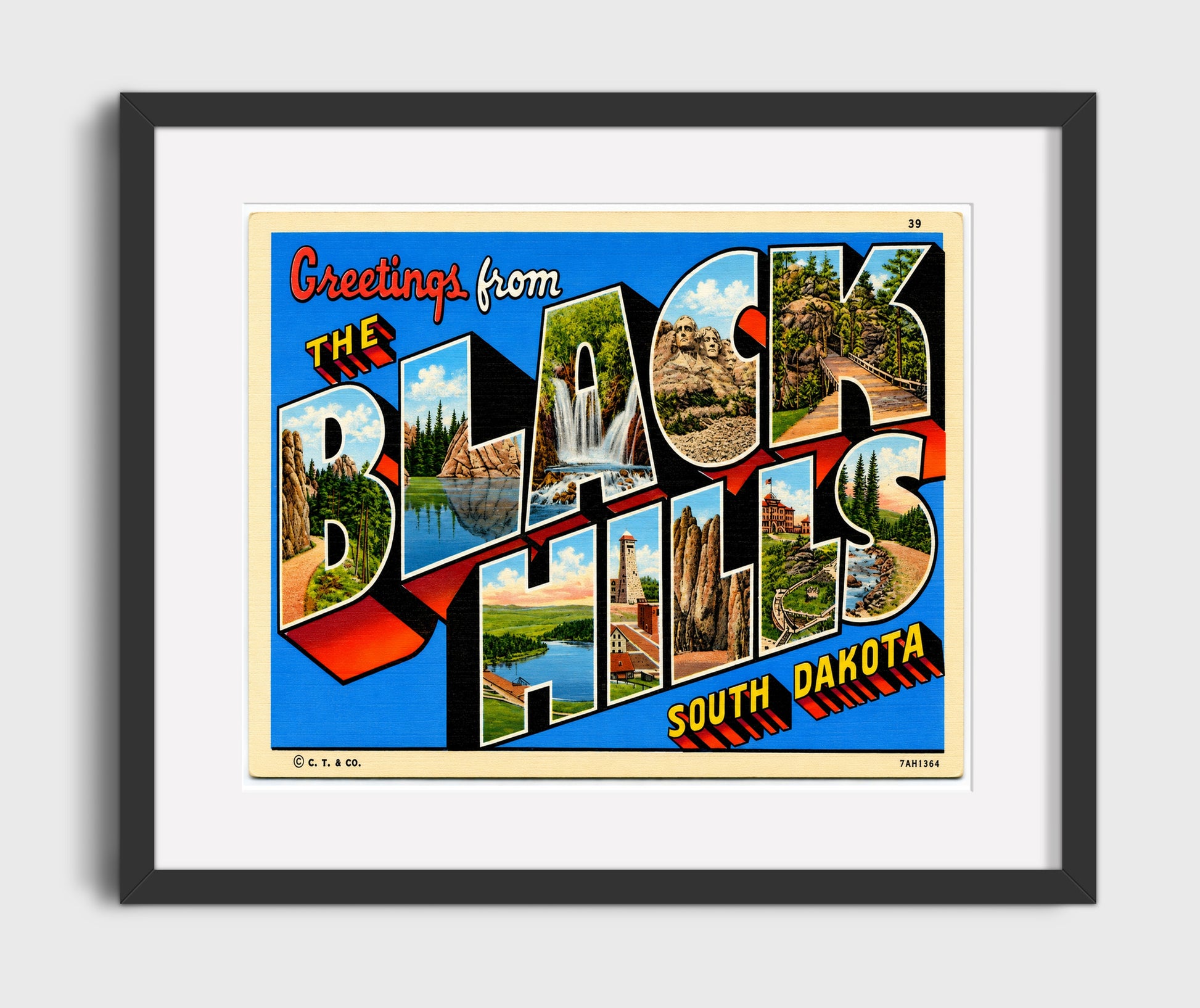 Greetings from Black Hills, South Dakota 16x20 Gallery Frame vintage postcard wall art