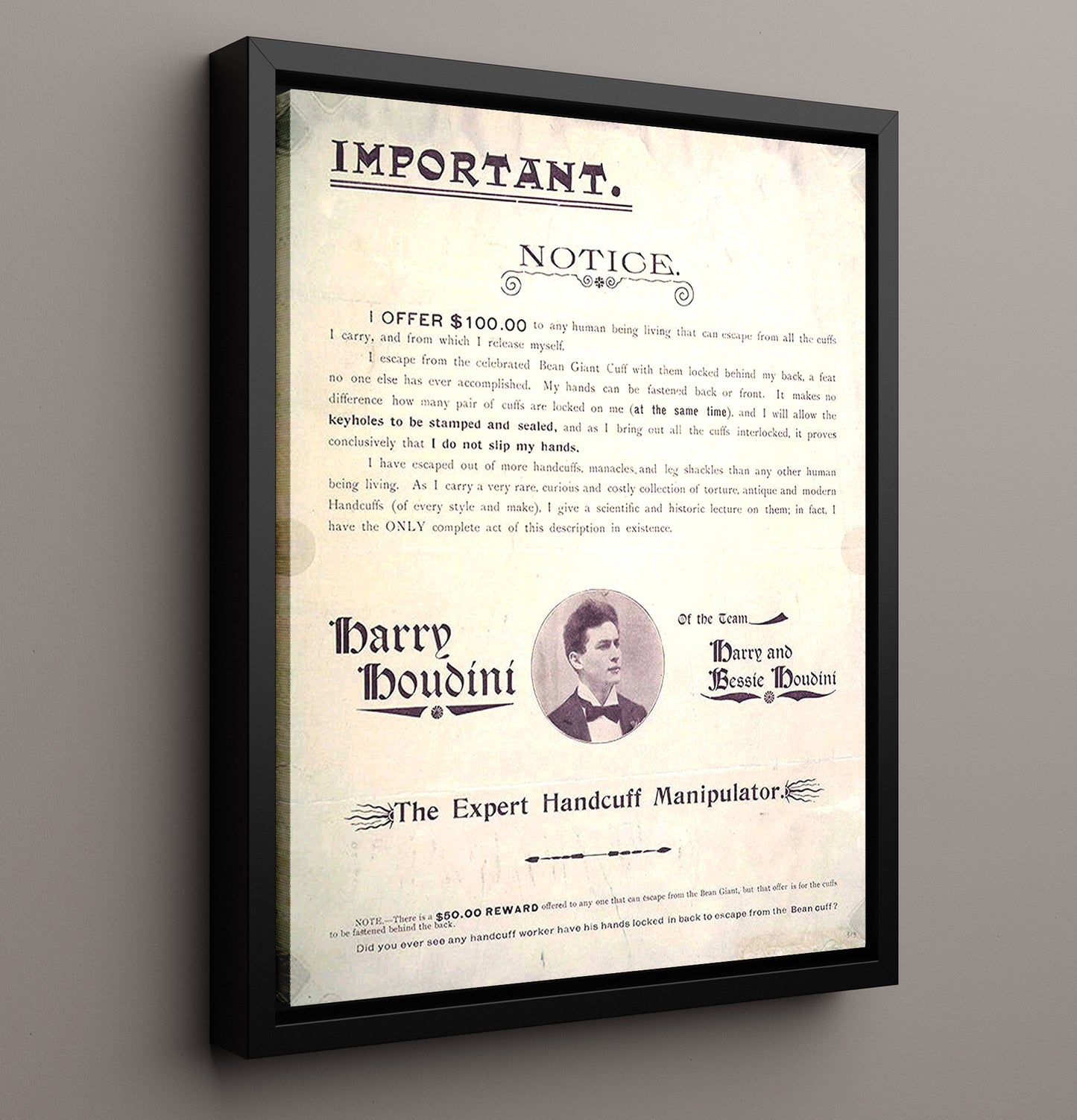 Houdini - 100 Dollar Escape Challenge - Magic Poster - 16x20 Framed Canvas