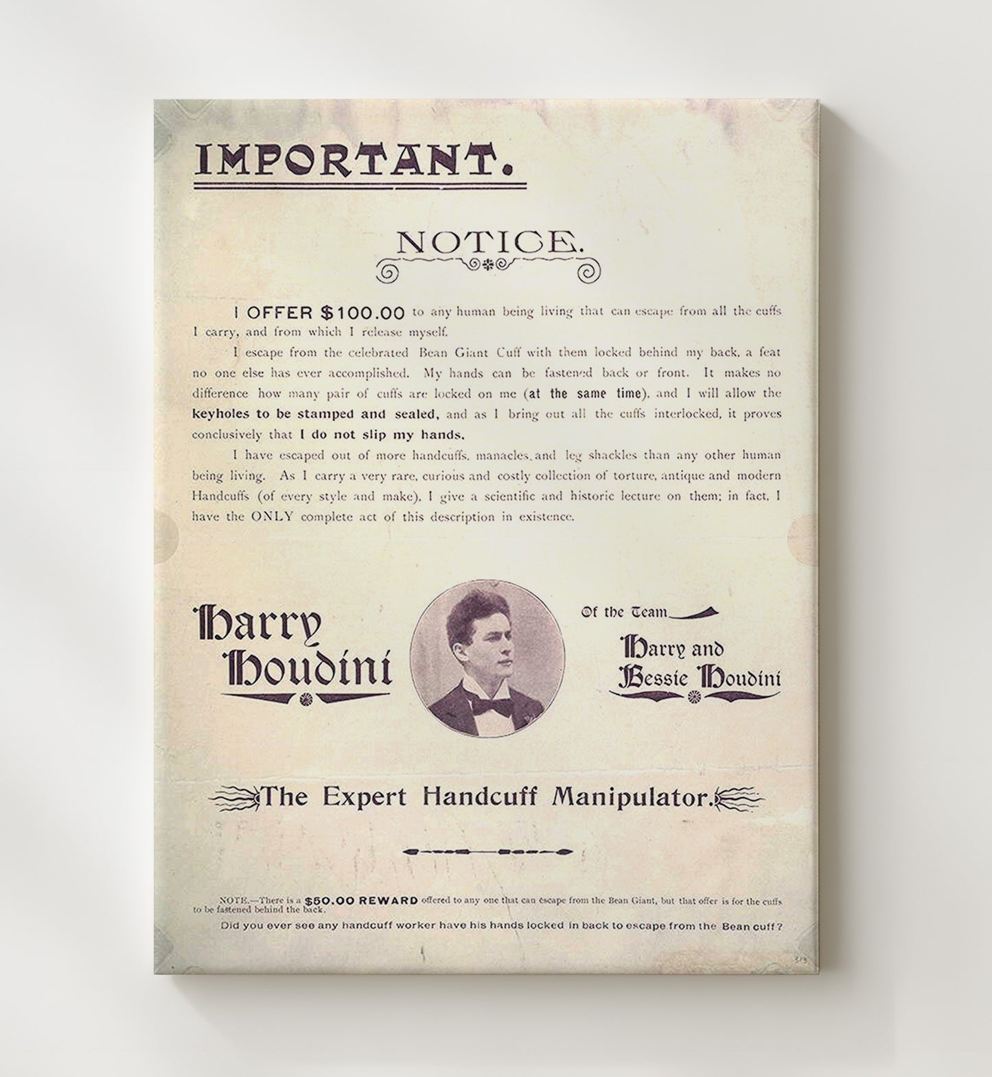 Houdini - 100 Dollar Escape Challenge - Magic Poster - 20x24 Canvas