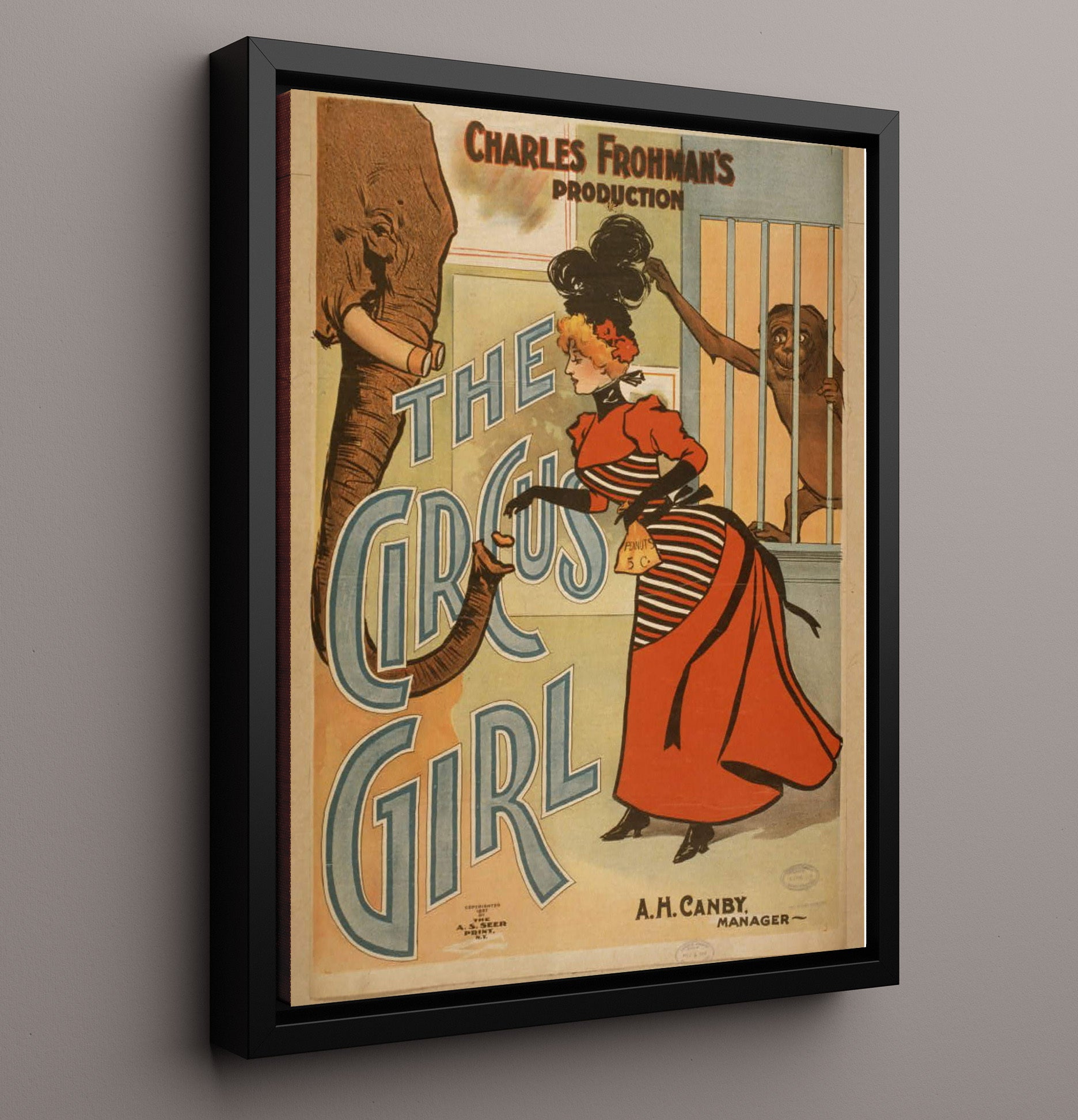 The Circus Girl - Classic Stage Production - Theater Poster - 16x20 Framed Canvas
