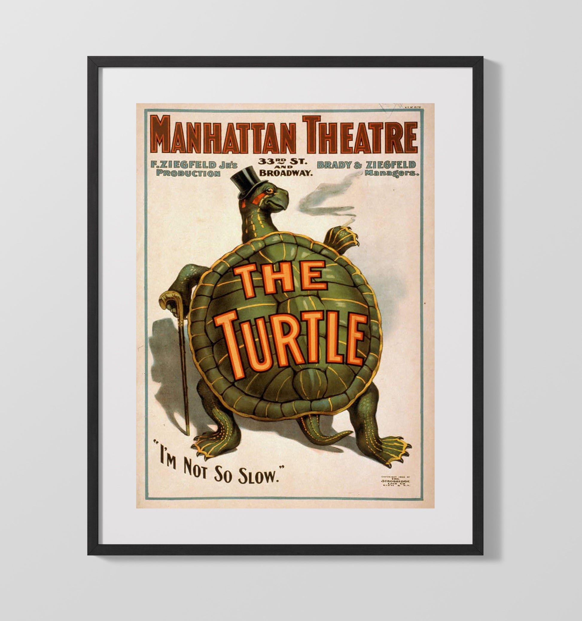 The Turtle - Classic Stage Production - Theater Poster - 16x20 Gallery Frame