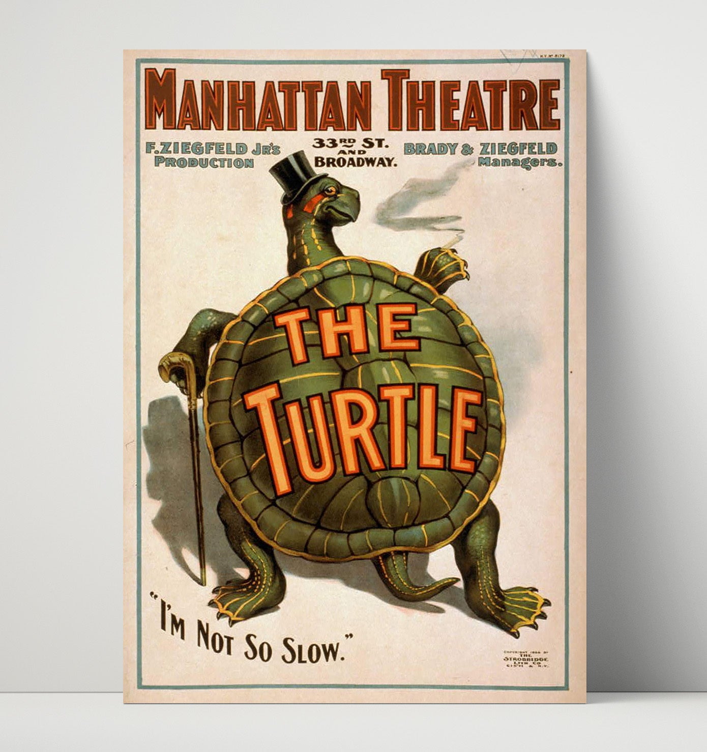 The Turtle - Classic Stage Production - Theater Poster - 16x20 Unframed Print