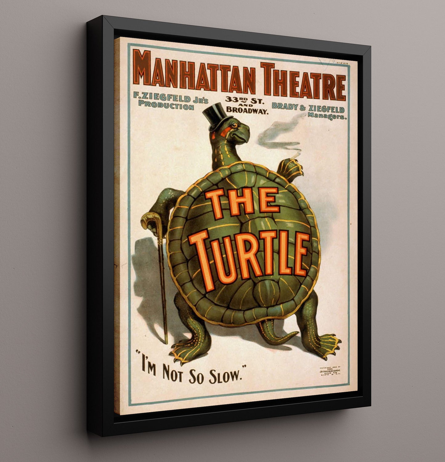 The Turtle - Classic Stage Production - Theater Poster - 16x20 Framed Canvas