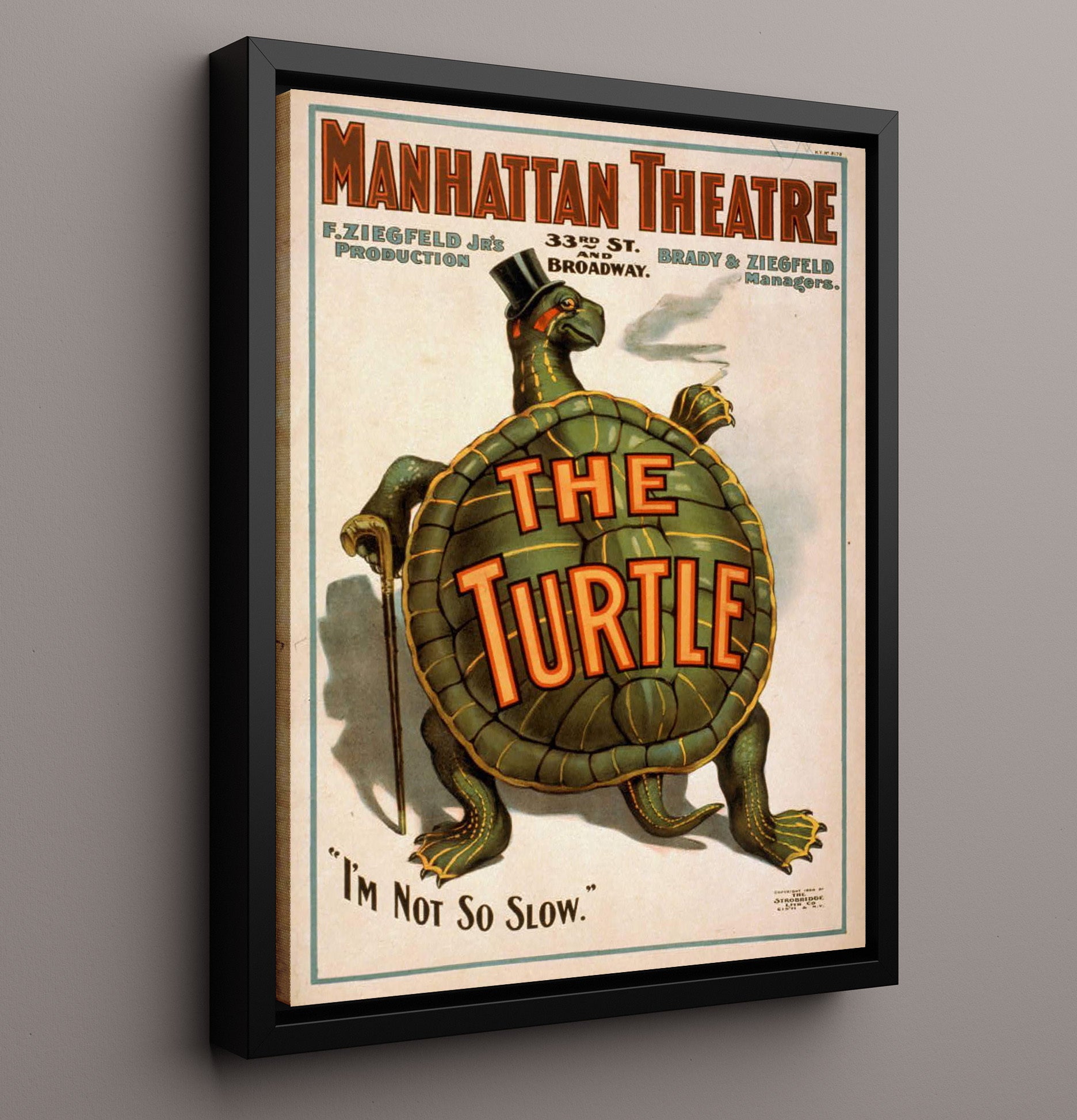 The Turtle - Classic Stage Production - Theater Poster - 16x20 Framed Canvas