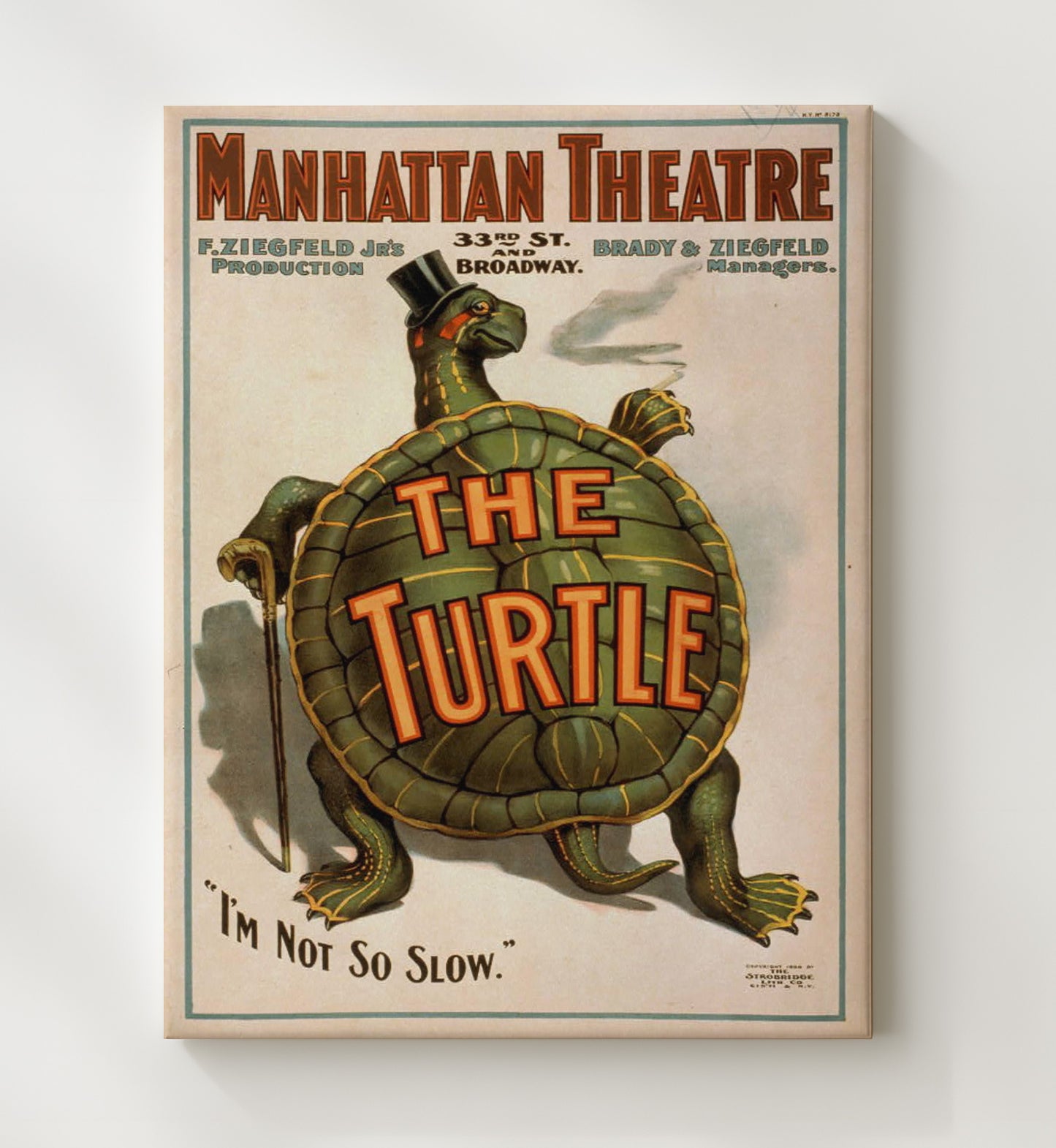 The Turtle - Classic Stage Production - Theater Poster - 20x24 Canvas