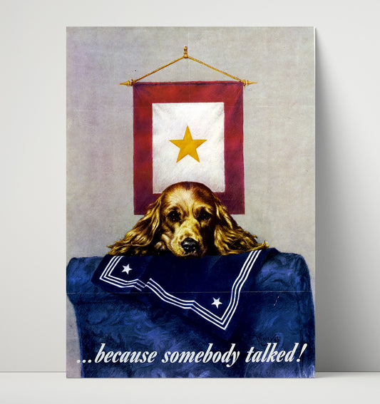 Because Somebody Talked Gold Star - Poster