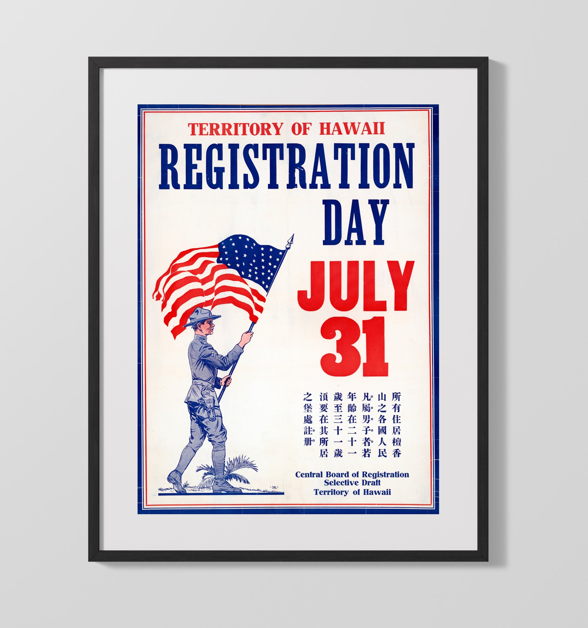 Territory of Hawaii Registration Day war poster wall art 16x20 Gallery Frame