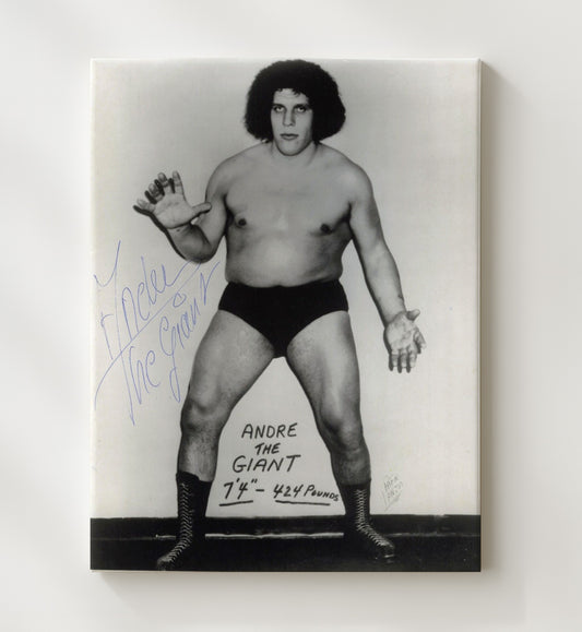 Andre the Giant - Classic Full-Body Studio Pose - Canvas wrestling wall art