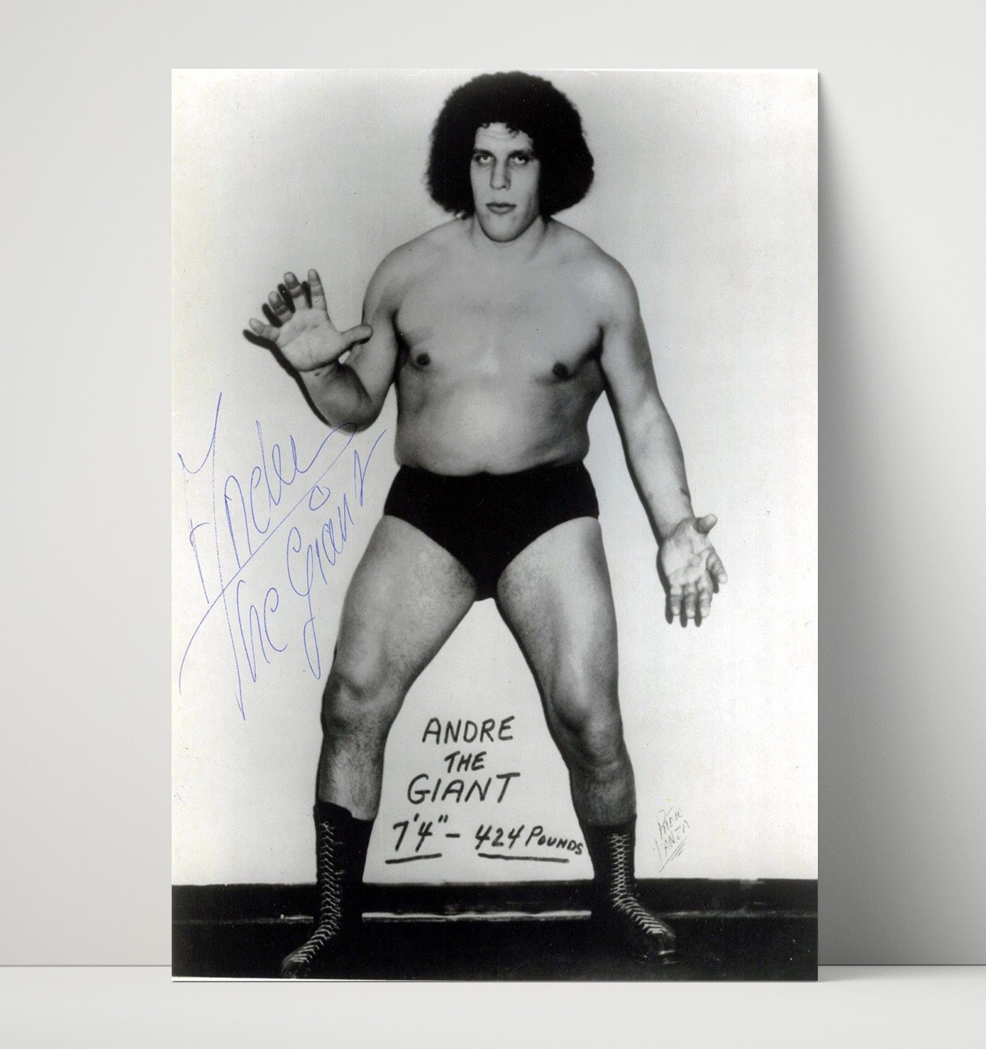Andre the Giant - Classic Full Body Studio Pose Wrestling Wall Art Unframed Print wall art print – wrestling decor
