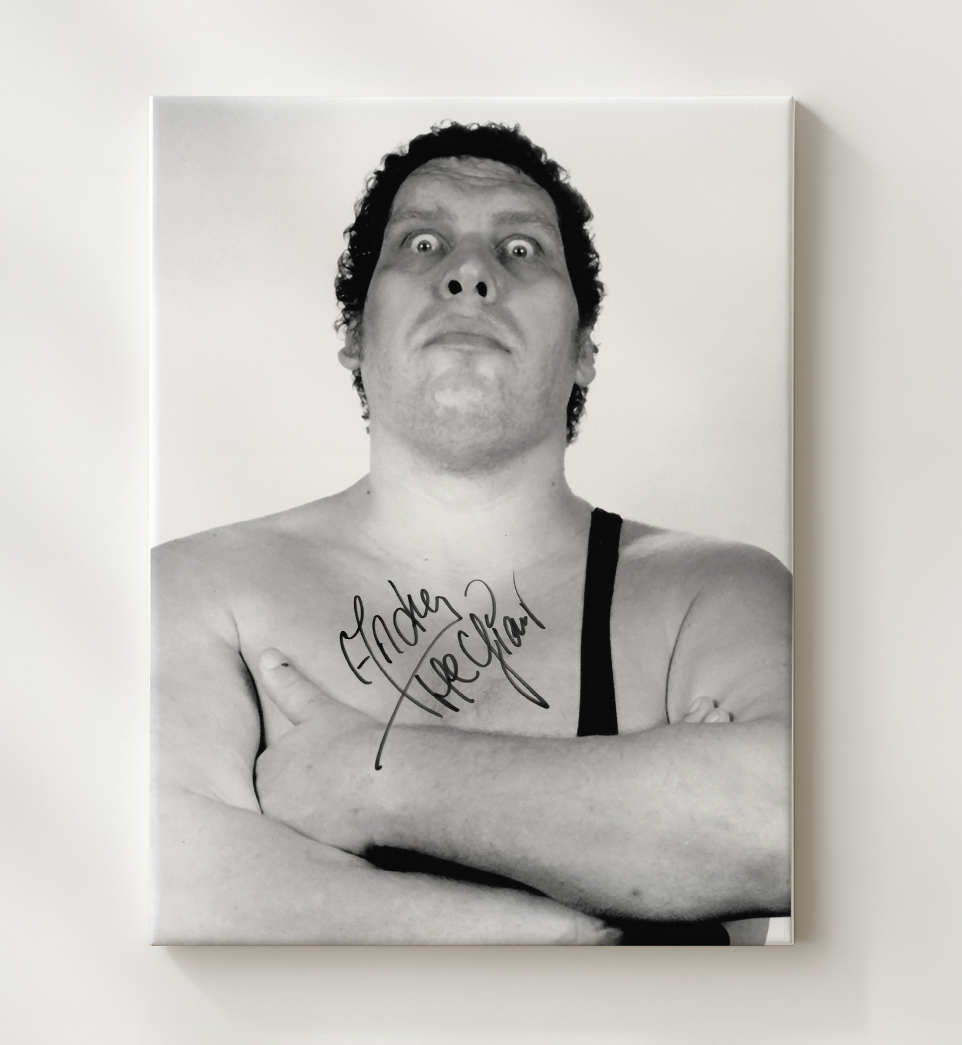 Andre the Giant - Legendary Giant Close Portrait Wrestling Wall Art Canvas wall art print – wrestling decor
