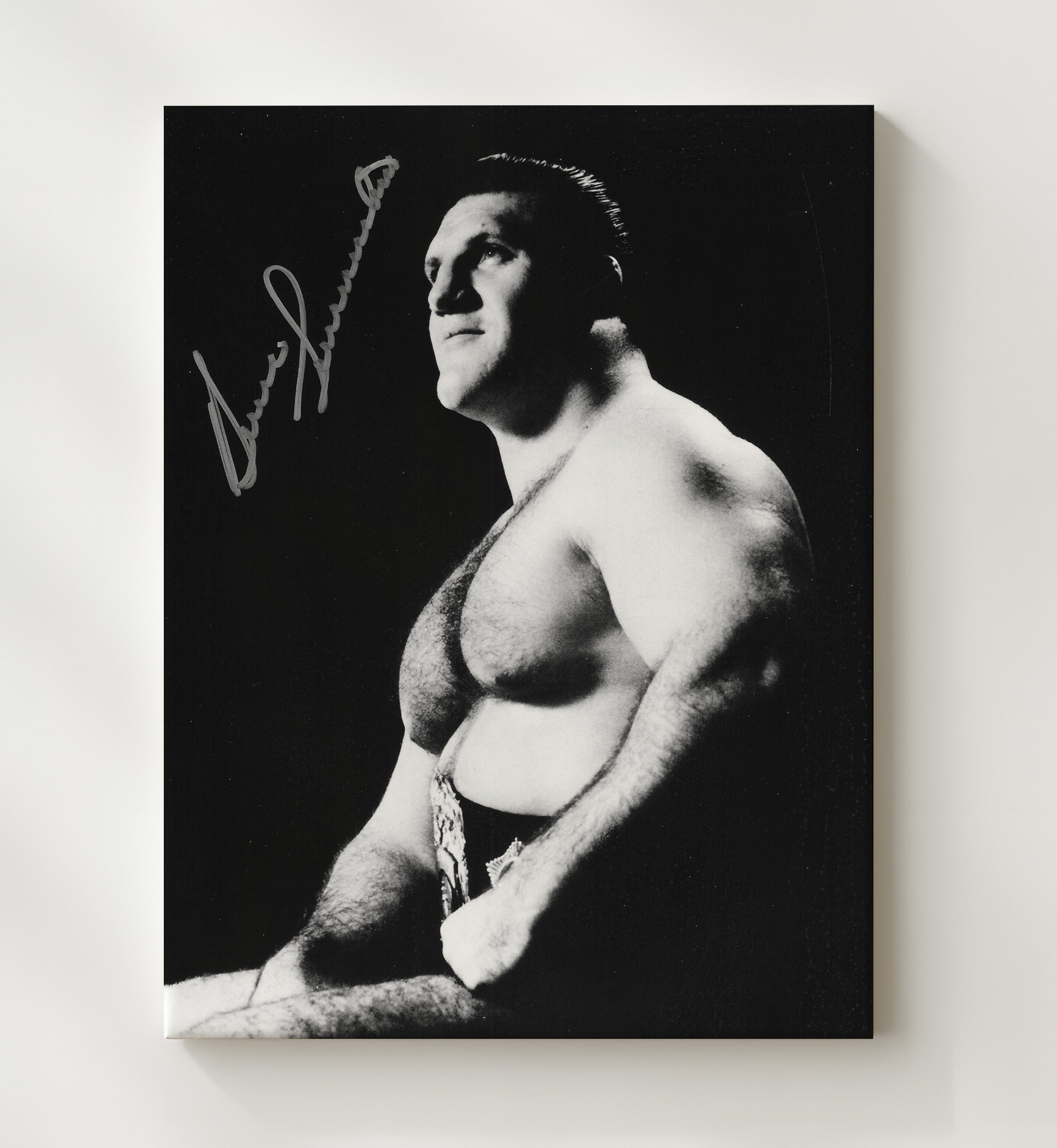 Bruno Sammartino - Champion Classic Portrait Wrestling Wall Art Canvas wall art print – wrestling decor