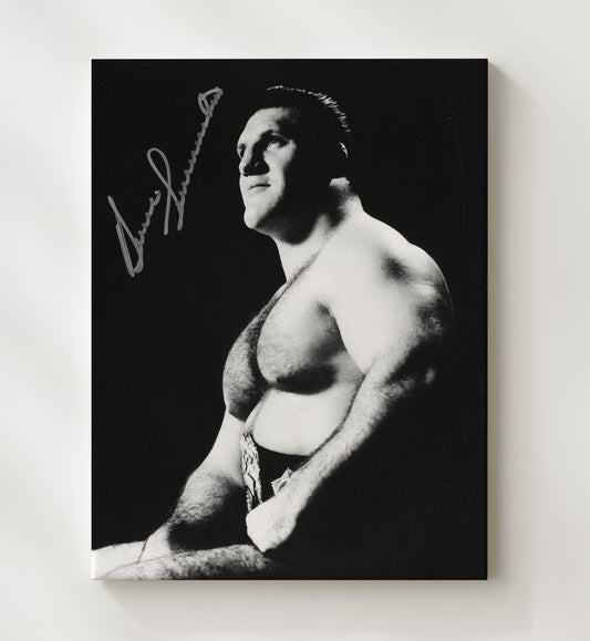 Bruno Sammartino - Classic Champion Tribute - Canvas wrestling wall art